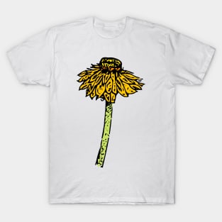 Everlasting Daisy Australian Wildflower T-Shirt